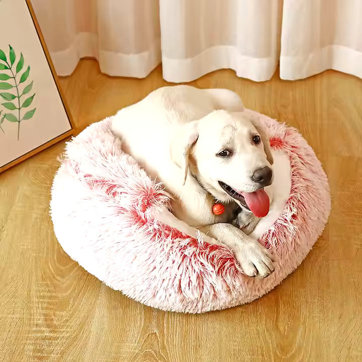2-in-1 Cuddle Cave for Dogs 1