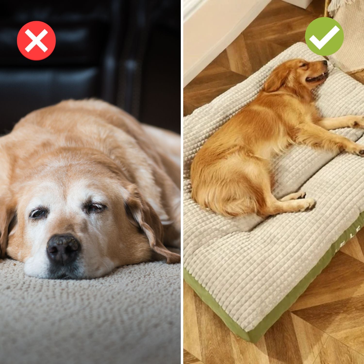 Orthopedic Dog Bed – Supportive Foam Cushion with Soft Washable Cover for Deep Relaxation