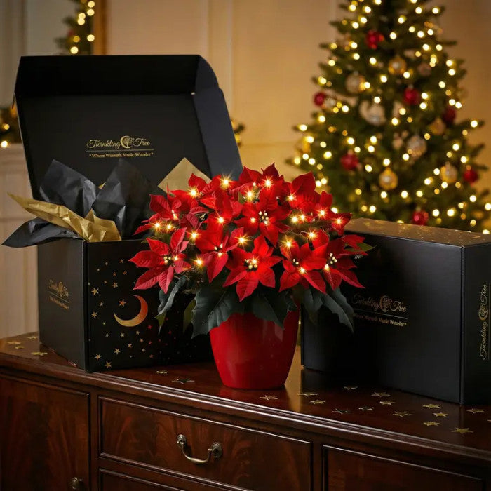Lighted Poinsettia – Artificial Red Christmas Flower with a Soft Warm Glow