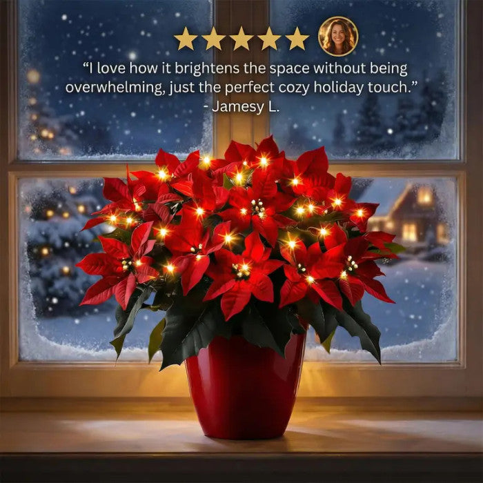 Lighted Poinsettia – Artificial Red Christmas Flower with a Soft Warm Glow