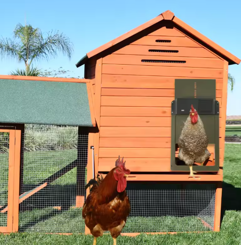 Automatic Chicken Coop Door System 1