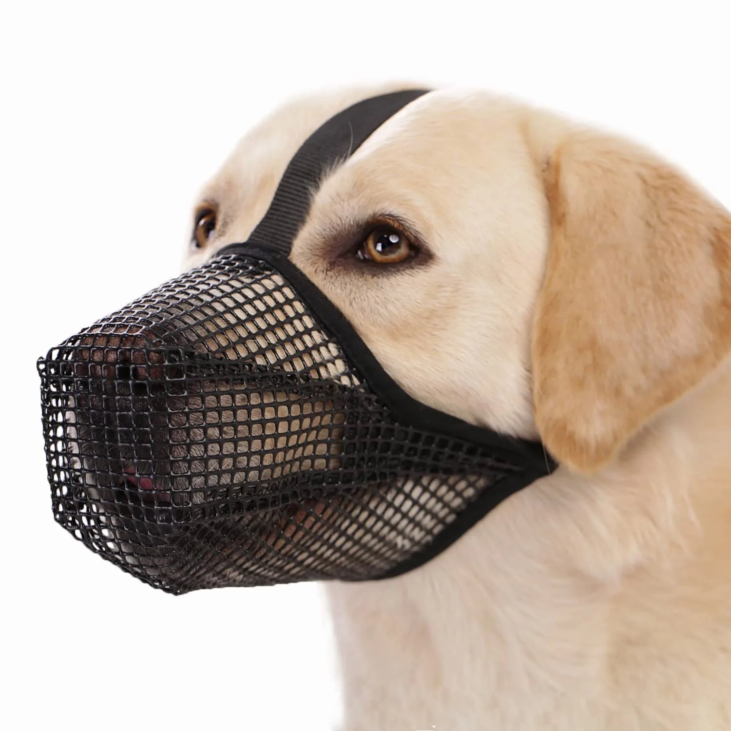 Breathable Soft Mesh Dog Muzzle – Lightweight Comfortable Basket Muzzle for Small Dogs with Adjustable Straps 0