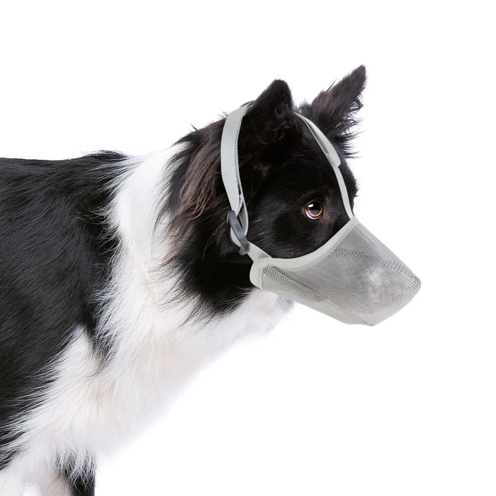 Breathable Soft Mesh Dog Muzzle – Lightweight Comfortable Basket Muzzle for Small Dogs with Adjustable Straps 3