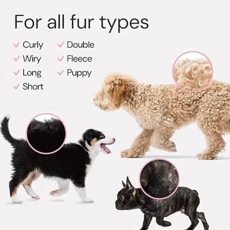 Dog Brush – Two-Sided Slicker and Deshedding Brush for Tangle-Free Grooming 6