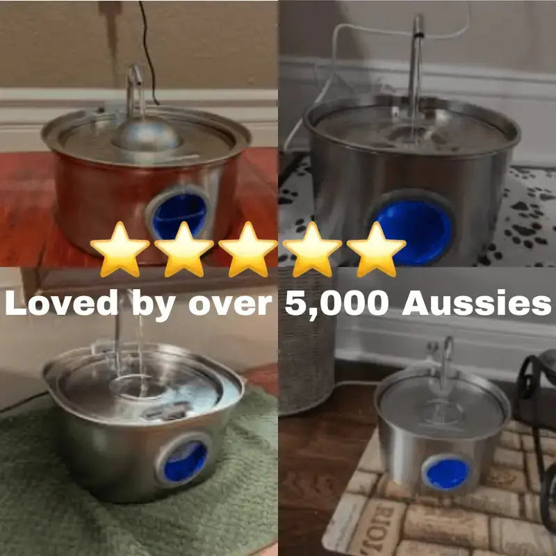 Dog Water Fountain - 3.2L Automatic Drinking Fountain for Large Dogs, Stainless Steel, Quiet Operation 8