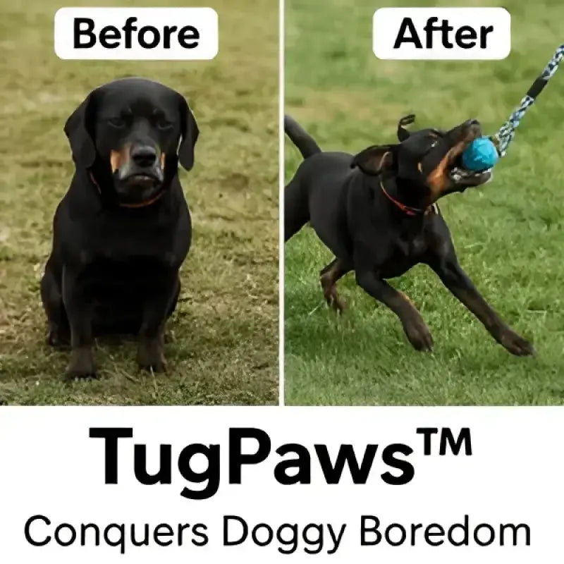 Durable Dog Bungee Tug Toy for Aggressive Chewers - Shock-Absorbing Rope 4