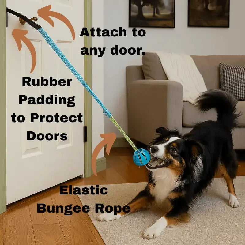Durable Dog Bungee Tug Toy for Aggressive Chewers - Shock-Absorbing Rope 5