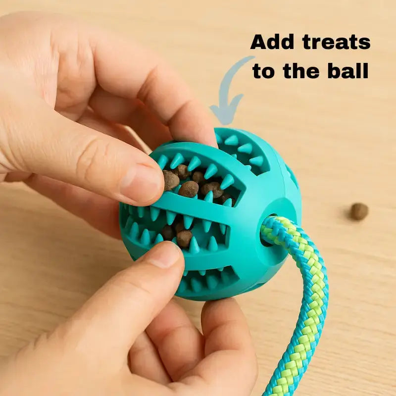 Durable Dog Bungee Tug Toy for Aggressive Chewers - Shock-Absorbing Rope 6
