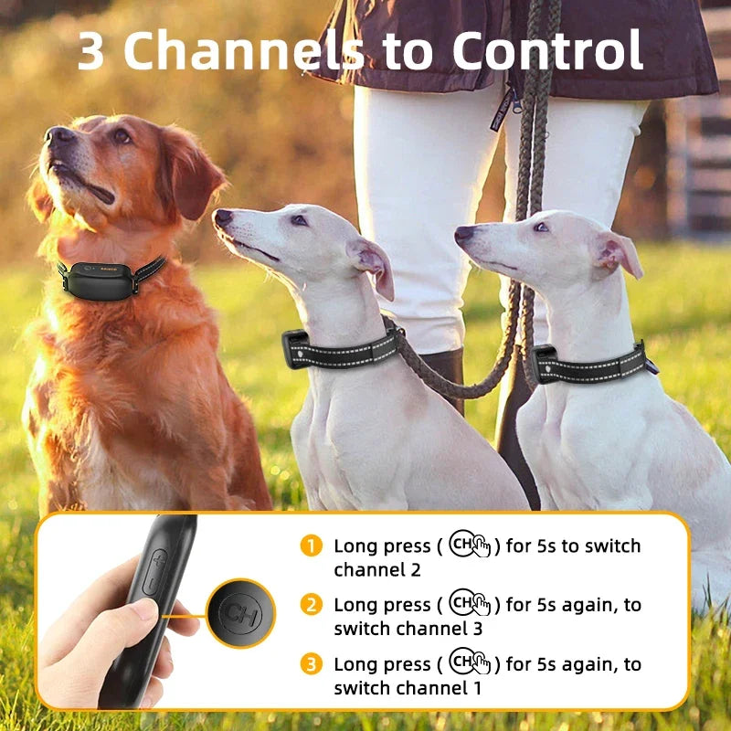 Electric Dog Training Collar with 1000m Remote & Waterproof Design – PetTrainer 6