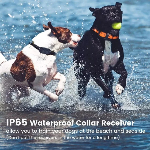 Dog training collar