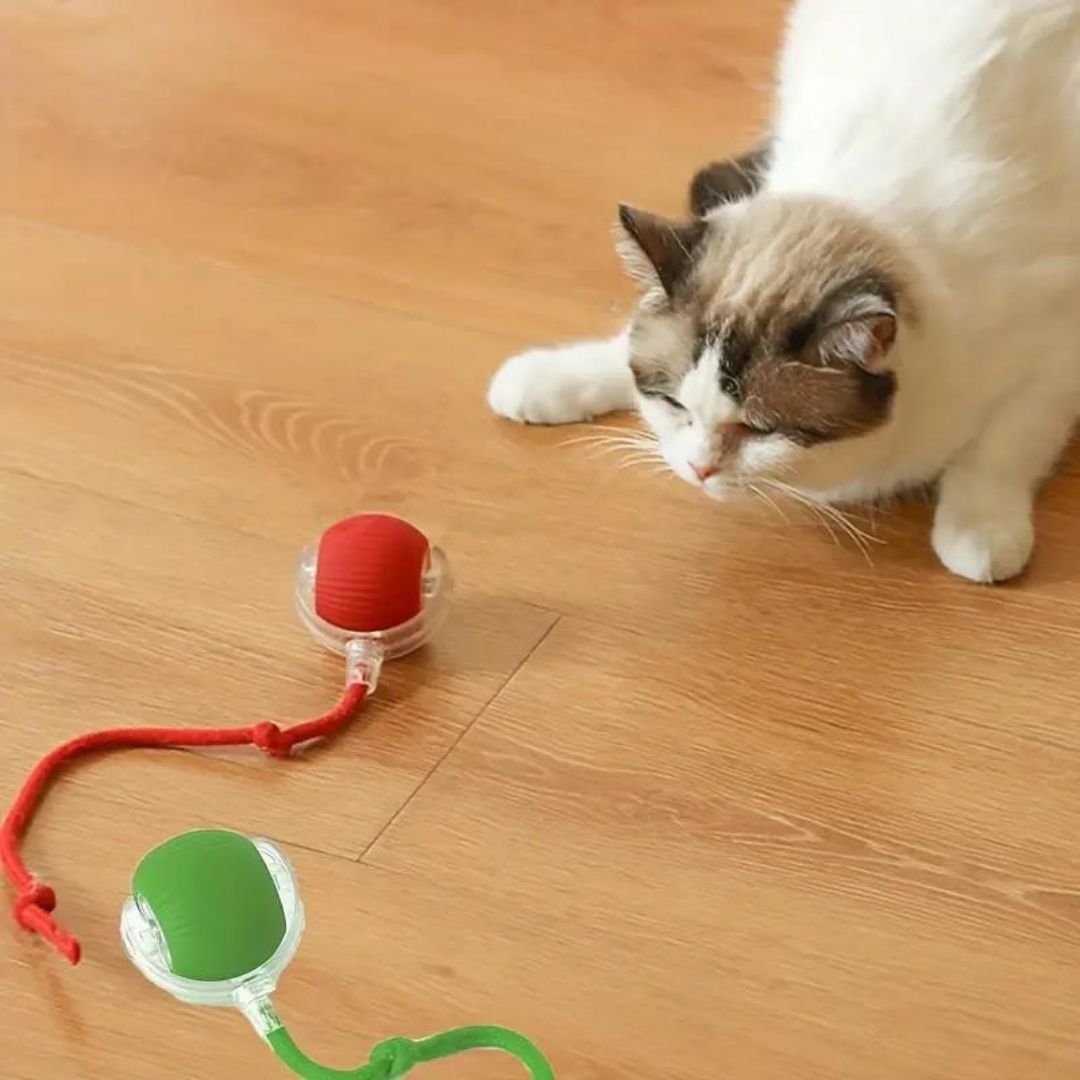 Interactive Game Ball with Tail for Cats 1