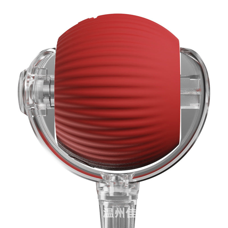 Interactive Game Ball with Tail for Cats 2
