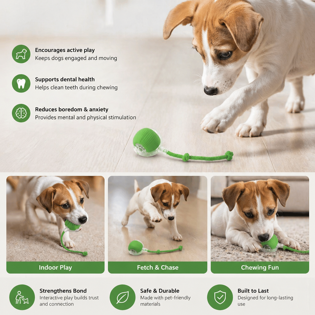 Interactive Play Ball with Tail for Dogs 2