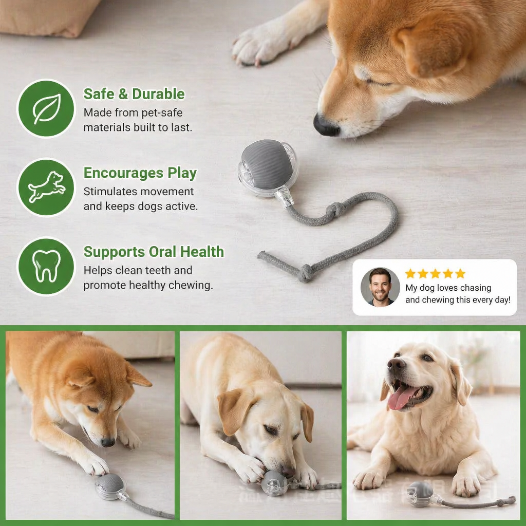 Interactive Play Ball with Tail for Dogs 3