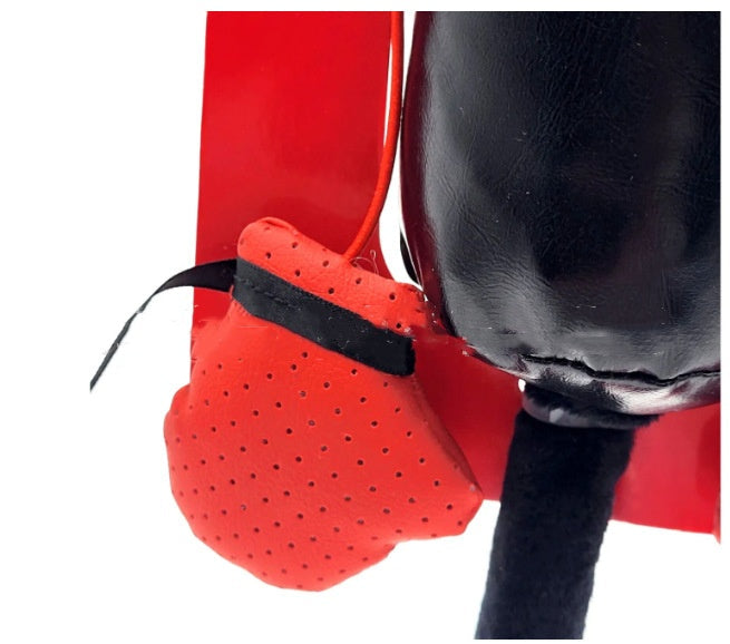 Interactive Punching Bag Toy for Cats 3