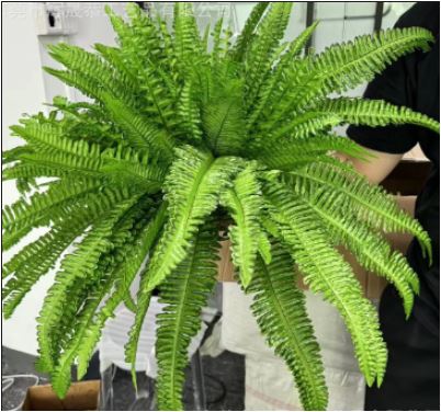 Kalsten | UV Resistant Lifelike Artificial Boston Fern 3
