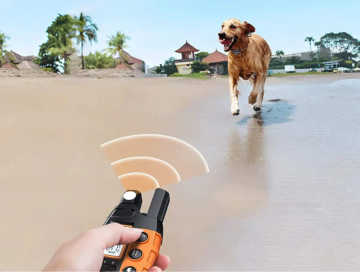 NovaPace 1000m Remote Dog Training Collar, Waterproof 1
