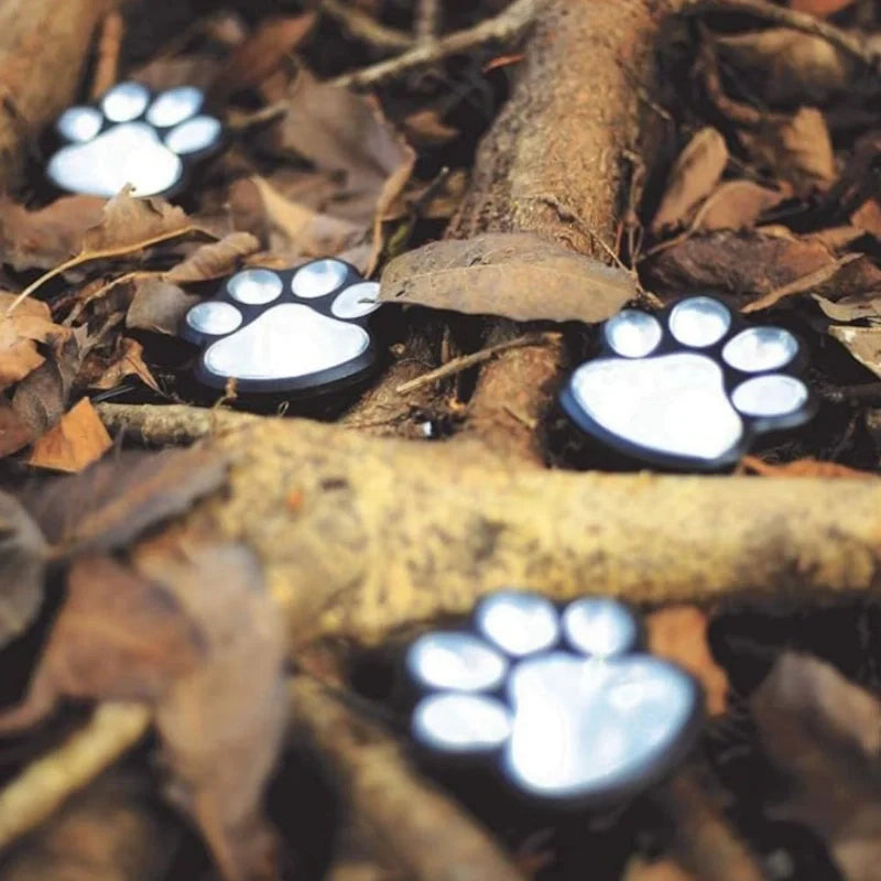 PawGlow™ 1