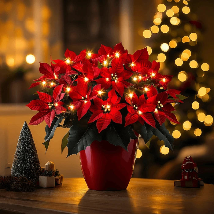 Lighted Poinsettia – Artificial Red Christmas Flower with a Soft Warm Glow