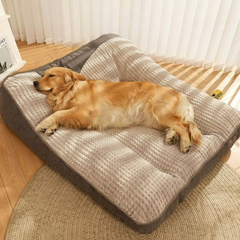 Panier pour chien – Grand modèle résistant aux griffures, bords surélevés et housse amovible