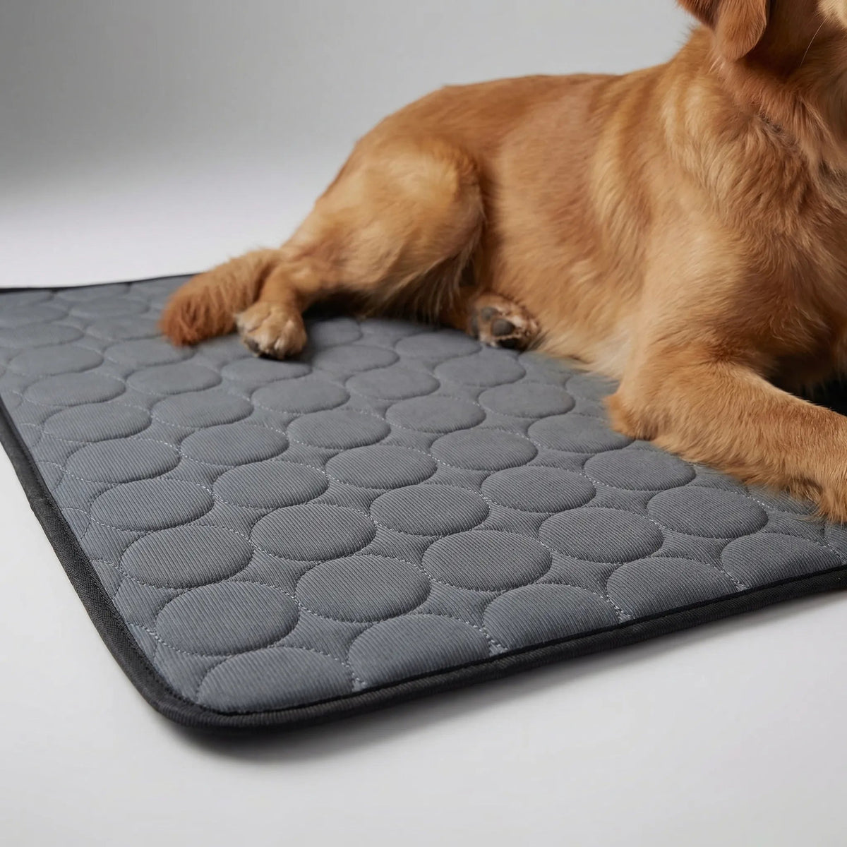 Thrives Outdoor | Chillpaw Quilted Cooling Mat For Pets 13