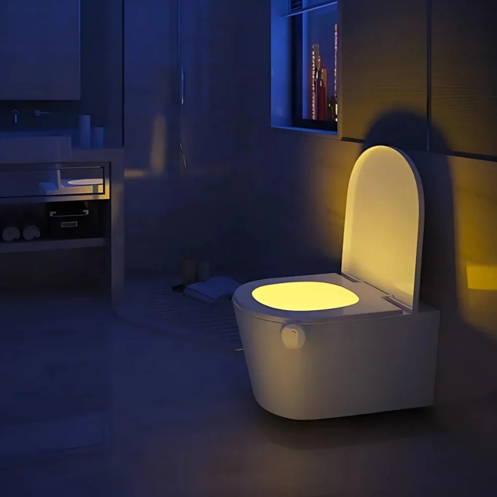 Toilet Night Light 0