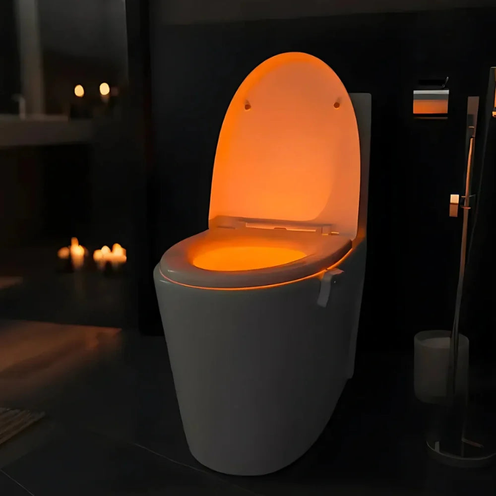Toilet Night Light 2
