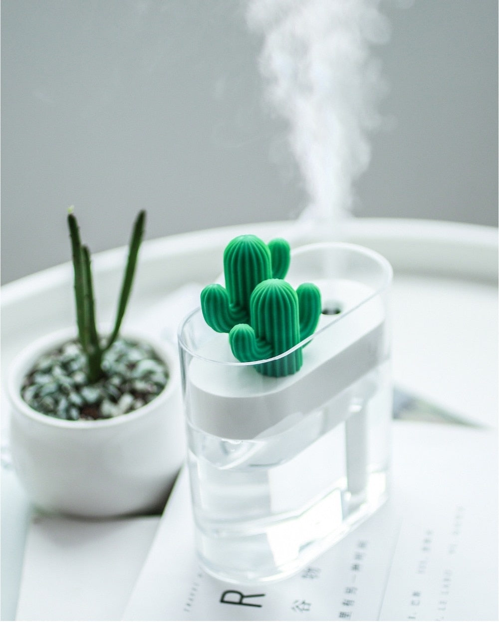 Diffuseur d’Arôme Cactus – Brume Ultrasonique, Éclairage LED & Réservoir de 160 ml pour Usage Domestique