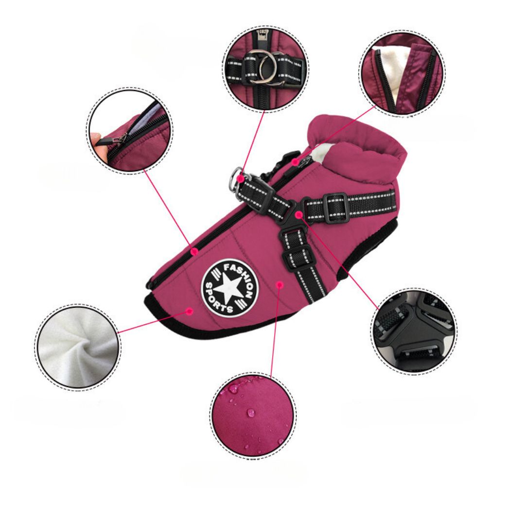 Windproof and Waterproof Dog Jacket with Integrated Harness 2