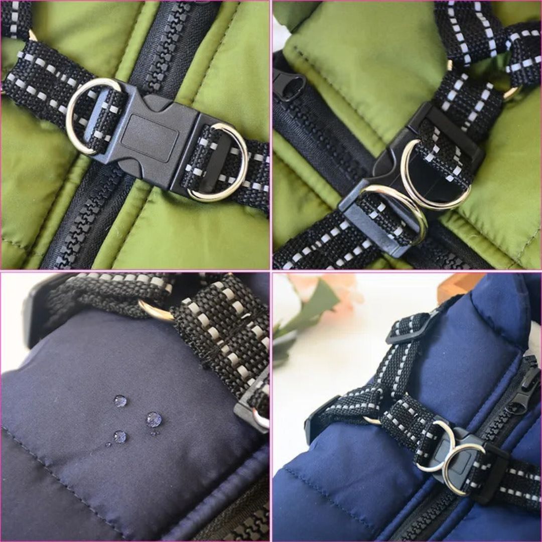 Windproof and Waterproof Dog Jacket with Integrated Harness 3