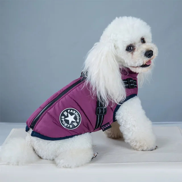 Windproof and Waterproof Dog Jacket with Integrated Harness 6