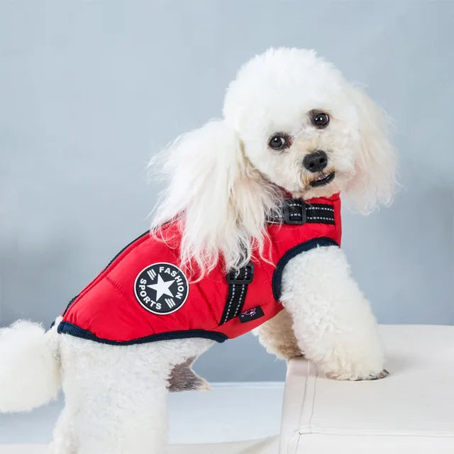 Windproof and Waterproof Dog Jacket with Integrated Harness 7