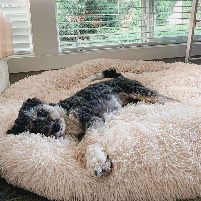 Coussin-lit pour chien – Design doux en peluche avec fond antidérapant et housse lavable