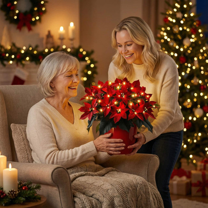 Lighted Poinsettia – Artificial Red Christmas Flower with a Soft Warm Glow