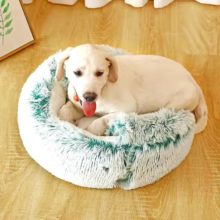 2-in-1 Cuddle Cave for Dogs 2