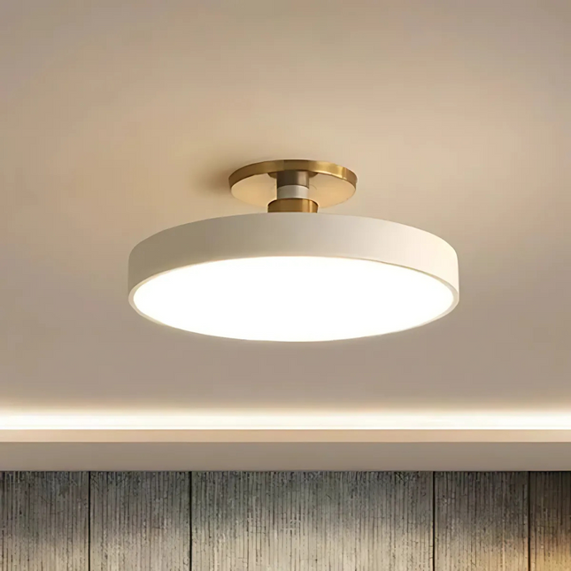 Scandinavian LED Ceiling Light – Dimmable Illumination & Modern Minimalist Design
