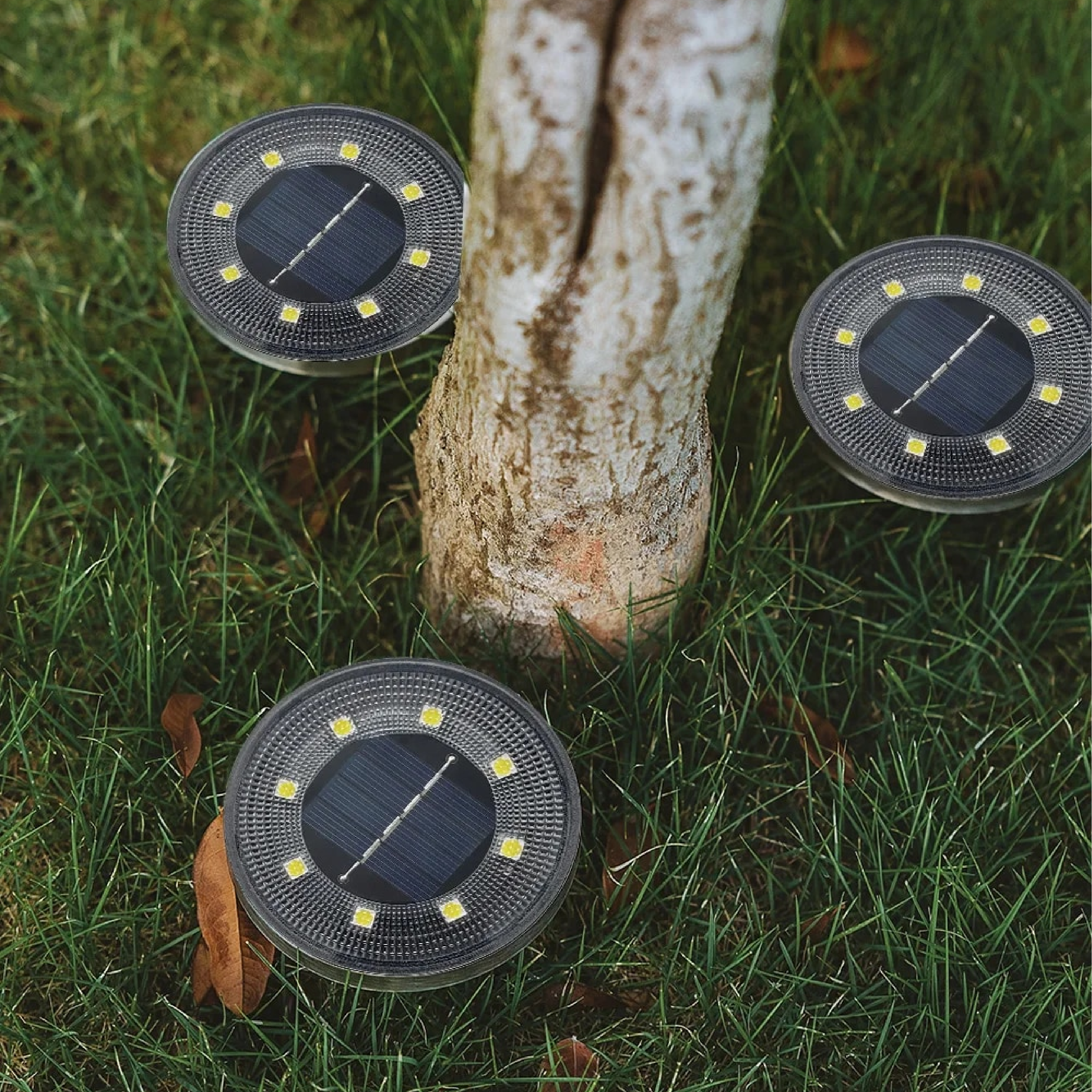 LumiGlow – Solcelle Havelamper LED Deluxe Udendørs Miljøvenlig Belysning