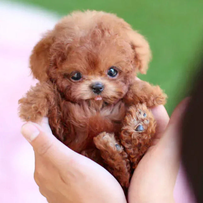Interactive Plush Puppy with Lifelike Movements, Soft Fur and Comforting Emotional Support