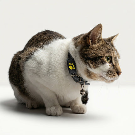 Pet Tracker for Dogs & Cats – Compact Collar Tag with App Location & Long Battery Life