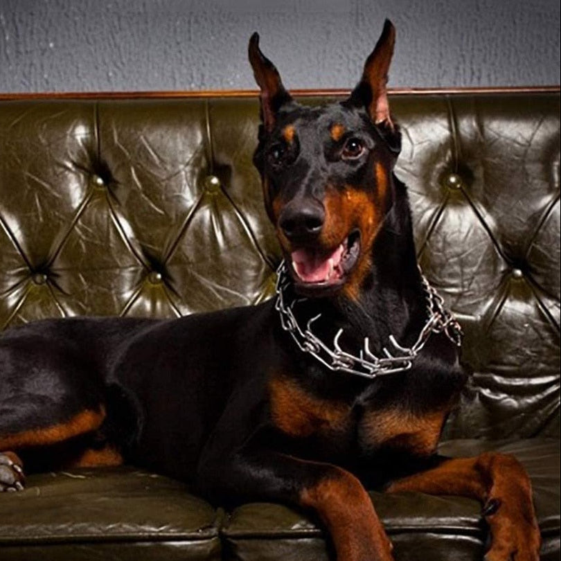 Adjustable Dog Training Collar with Rubberized Prongs 1