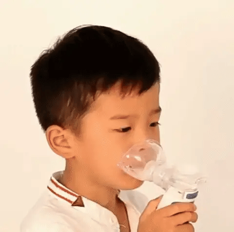 AeroMist Portable Nebulizer Rechargeable Ultrasonic 1