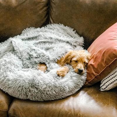 Coussin-lit pour chien – Design doux en peluche avec fond antidérapant et housse lavable