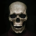 Bewegelijk Kaken, realistische Totenkopfmaske voor het hele hoofd – menselijke skeletmasker voor Halloween-feesten 0