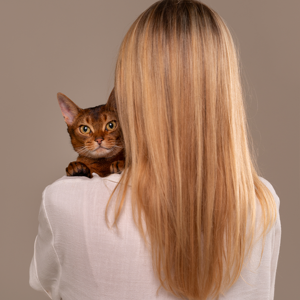 Banner image for: <h3>Pets</h3>