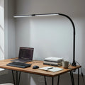 Clamp desk lamp