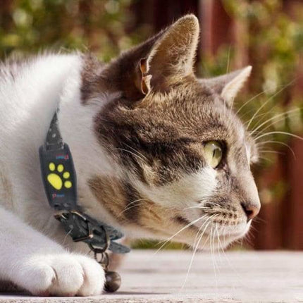Pet Tracker for Dogs & Cats – Compact Collar Tag with App Location & Long Battery Life