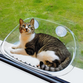 Cat Window - KittyView 0
