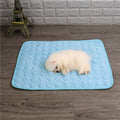 Cooling Mat for Pets 1