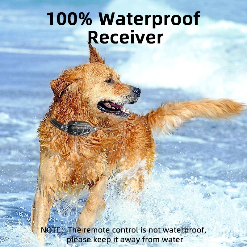 Electric Dog Training Collar with 1000m Remote & Waterproof Design – PetTrainer 3