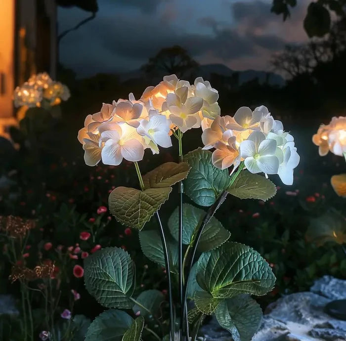 Solar Hydrangea Garden Lights – Flower Clusters That Glow Softly After Dark